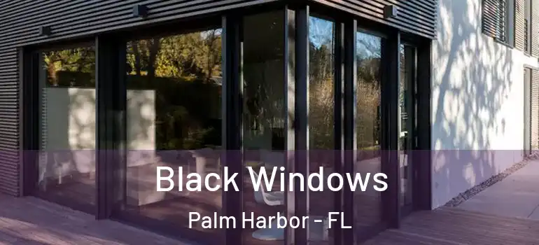  Black Windows Palm Harbor - FL