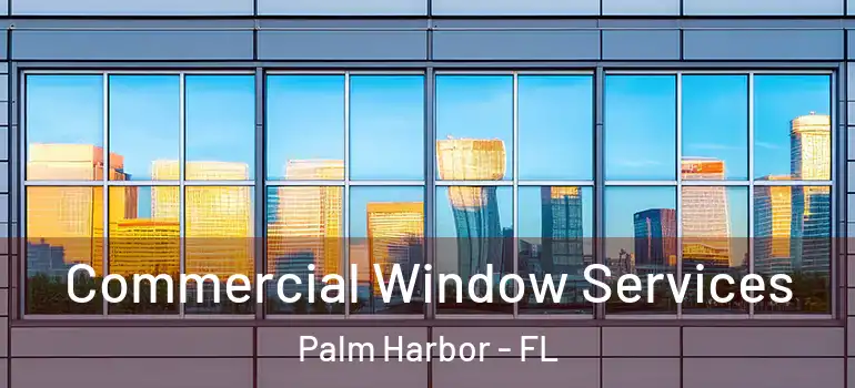  Commercial Window Services Palm Harbor - FL