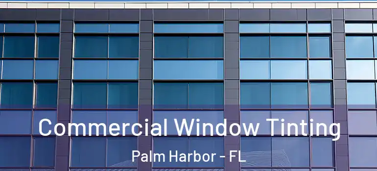  Commercial Window Tinting Palm Harbor - FL