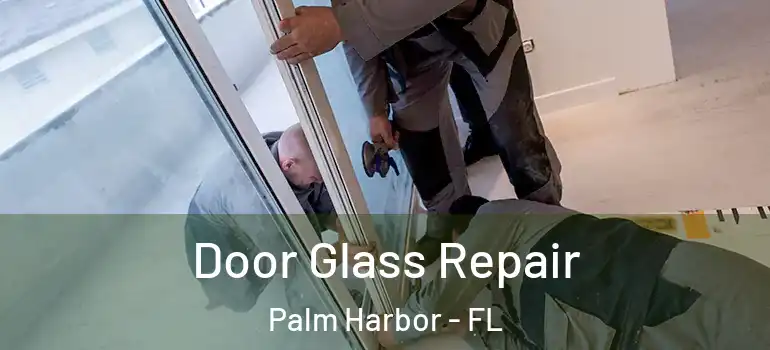  Door Glass Repair Palm Harbor - FL