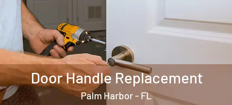  Door Handle Replacement Palm Harbor - FL
