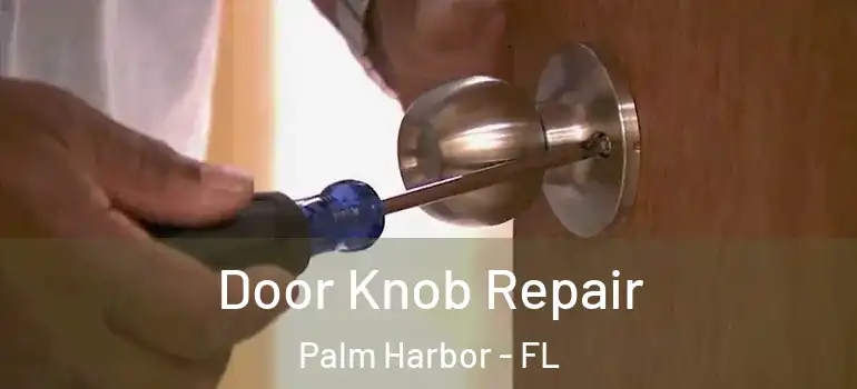  Door Knob Repair Palm Harbor - FL