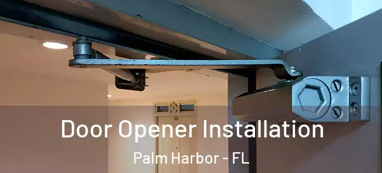  Door Opener Installation Palm Harbor - FL