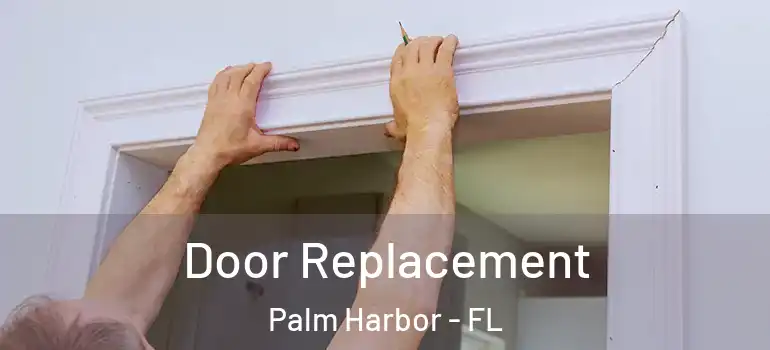  Door Replacement Palm Harbor - FL
