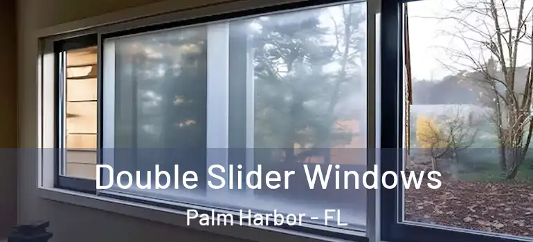  Double Slider Windows Palm Harbor - FL