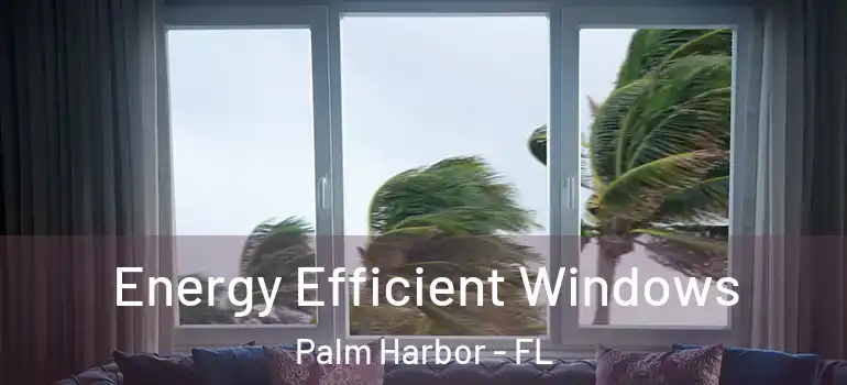  Energy Efficient Windows Palm Harbor - FL