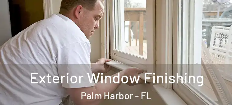  Exterior Window Finishing Palm Harbor - FL