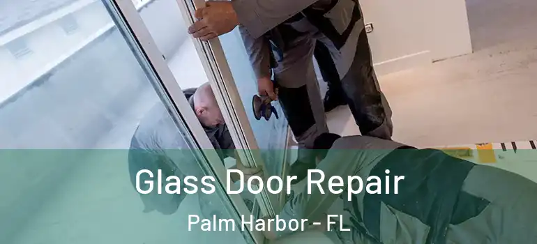  Glass Door Repair Palm Harbor - FL