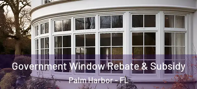 Government Window Rebate & Subsidy Palm Harbor - FL