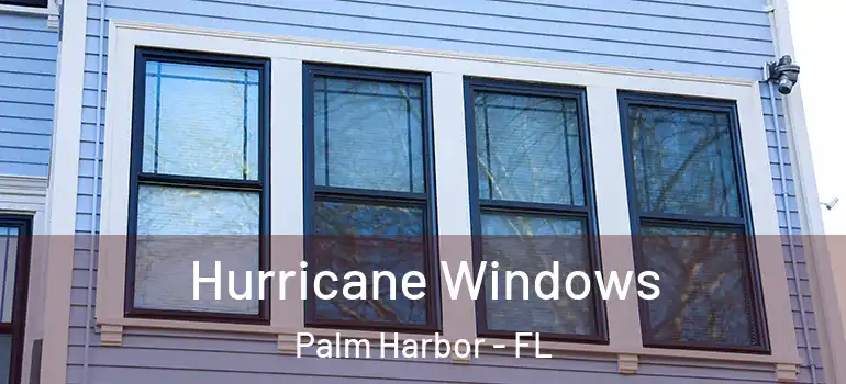  Hurricane Windows Palm Harbor - FL