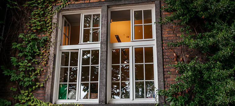 Energy Efficient Wood Windows in Palm Harbor, FL