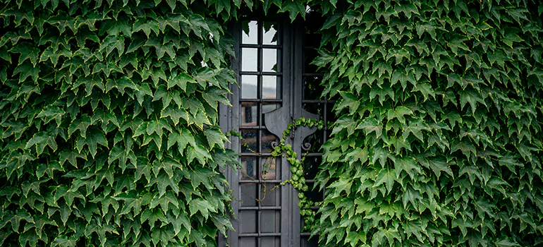 Garden Gate Repair in Palm Harbor, FL