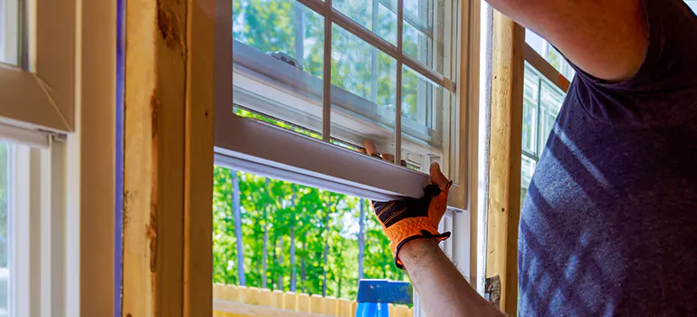 Decorative Window Film Services in Palm Harbor, FL