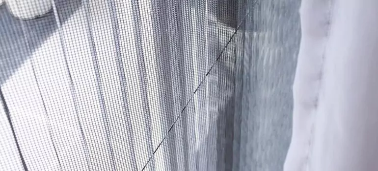 Fixing Screen Window Mesh in Palm Harbor, FL