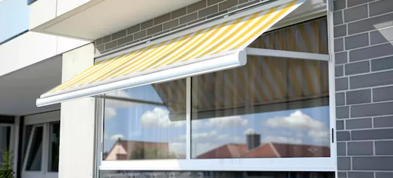 Awning Window Maintenance in Palm Harbor, FL
