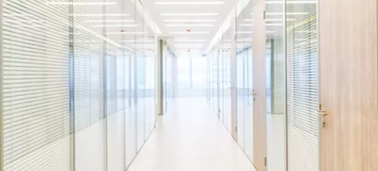 Frosted Glass Windows Replacement in Palm Harbor, FL