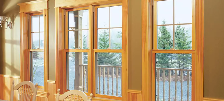 Government Incentives For Replacement Windows in Palm Harbor, FL