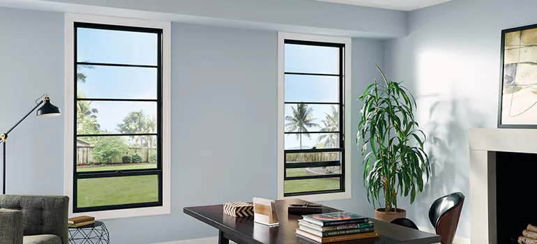 Professional Vinyl Window Installation in Palm Harbor, FL