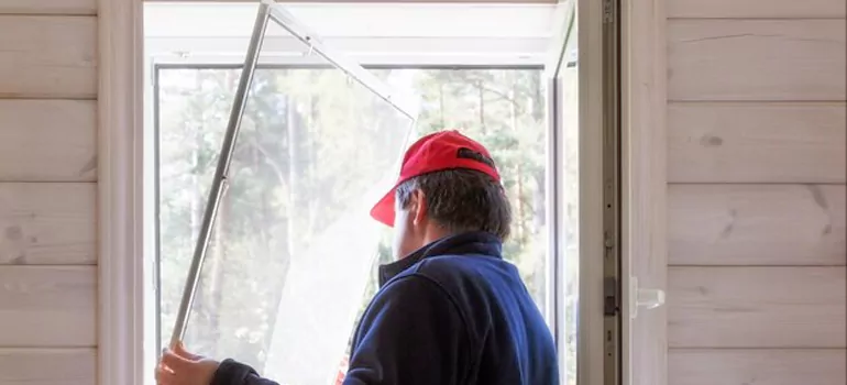 Expandable Window Screen Installation in Palm Harbor, FL