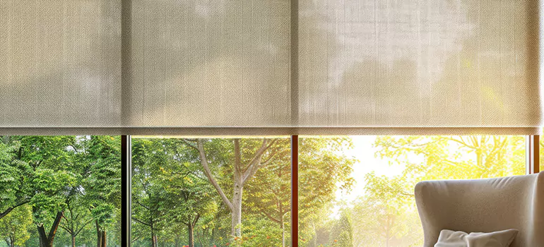 Custom Window Shades in Palm Harbor, FL