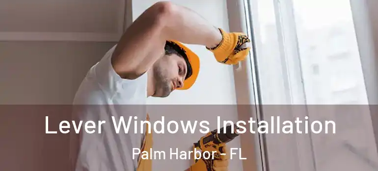  Lever Windows Installation Palm Harbor - FL
