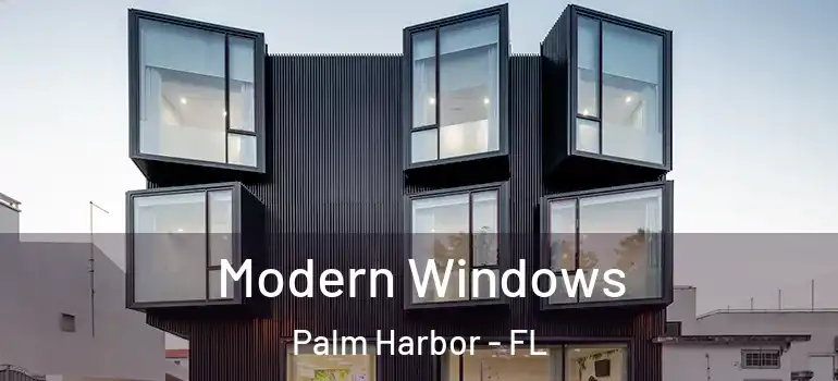  Modern Windows Palm Harbor - FL