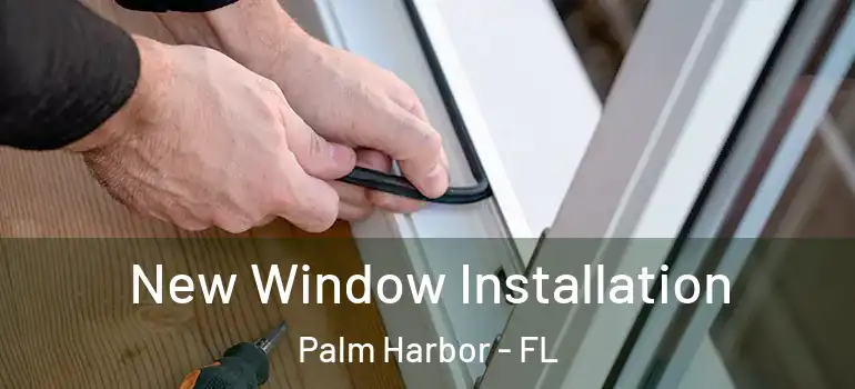  New Window Installation Palm Harbor - FL