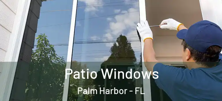  Patio Windows Palm Harbor - FL