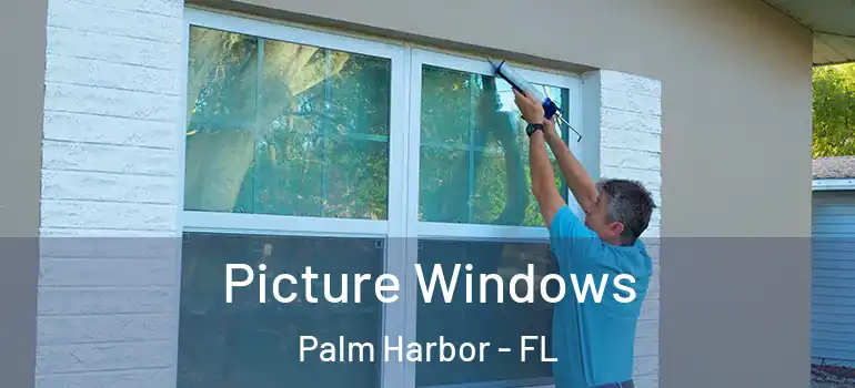  Picture Windows Palm Harbor - FL