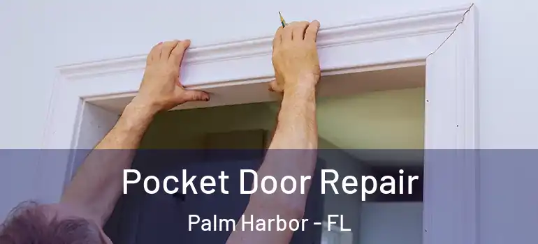  Pocket Door Repair Palm Harbor - FL