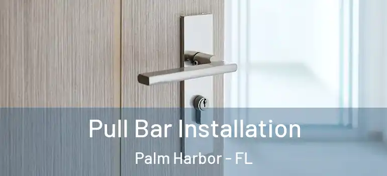  Pull Bar Installation Palm Harbor - FL