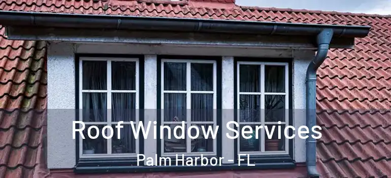  Roof Window Services Palm Harbor - FL