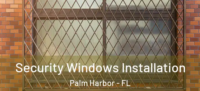  Security Windows Installation Palm Harbor - FL