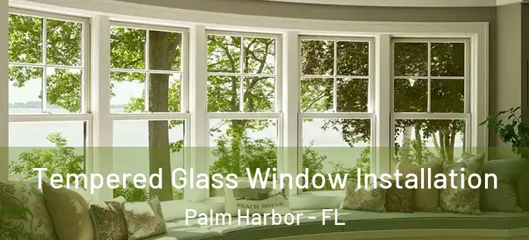  Tempered Glass Window Installation Palm Harbor - FL
