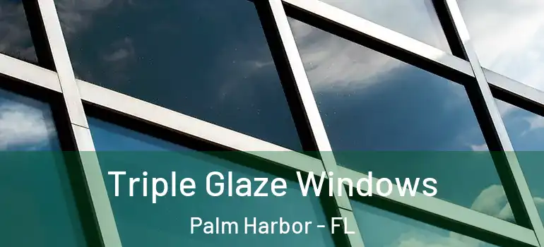  Triple Glaze Windows Palm Harbor - FL