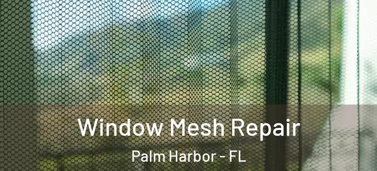  Window Mesh Repair Palm Harbor - FL