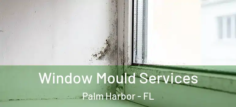  Window Mould Services Palm Harbor - FL