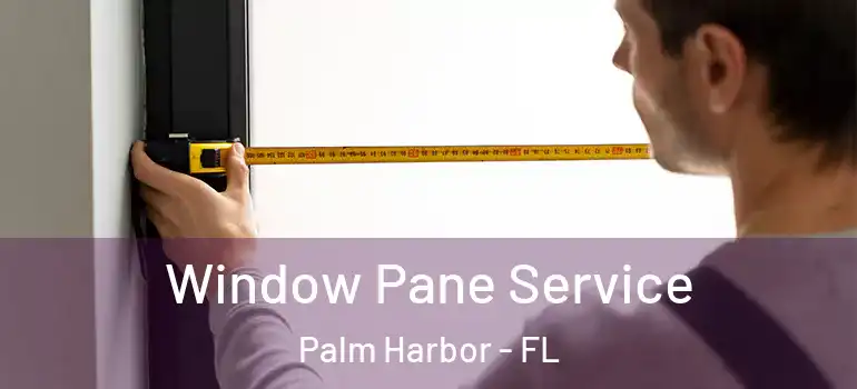  Window Pane Service Palm Harbor - FL