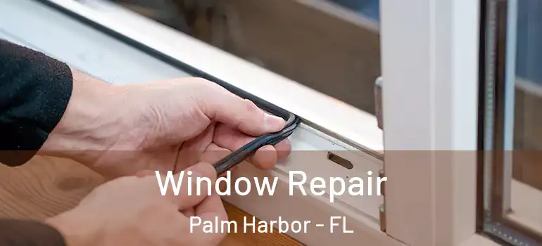  Window Repair Palm Harbor - FL