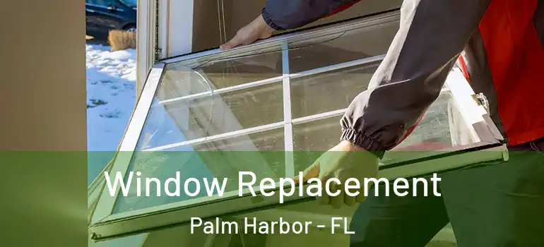  Window Replacement Palm Harbor - FL