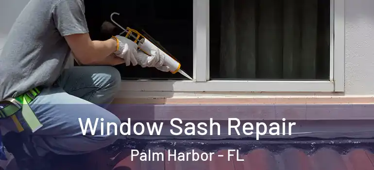  Window Sash Repair Palm Harbor - FL