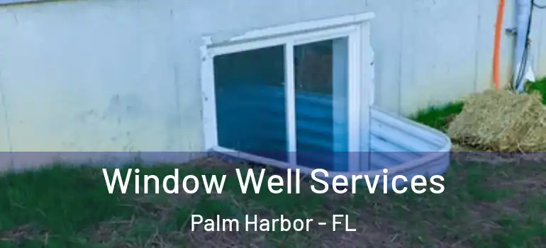  Window Well Services Palm Harbor - FL